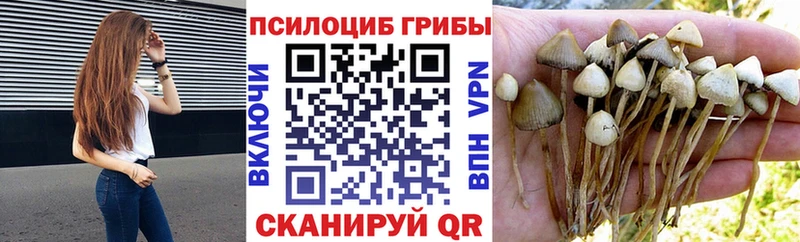 Псилоцибиновые грибы MAGIC MUSHROOMS  kraken как зайти  Инта 